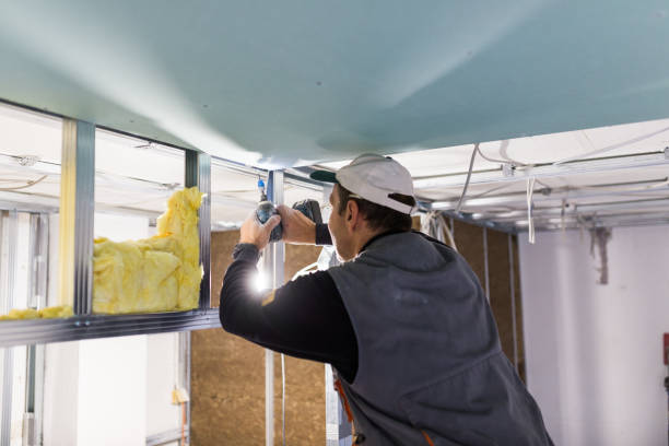 Best Specialized Insulation Services in Strasburg, CO